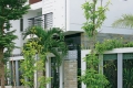 Không nên trồng cây to trước nhà